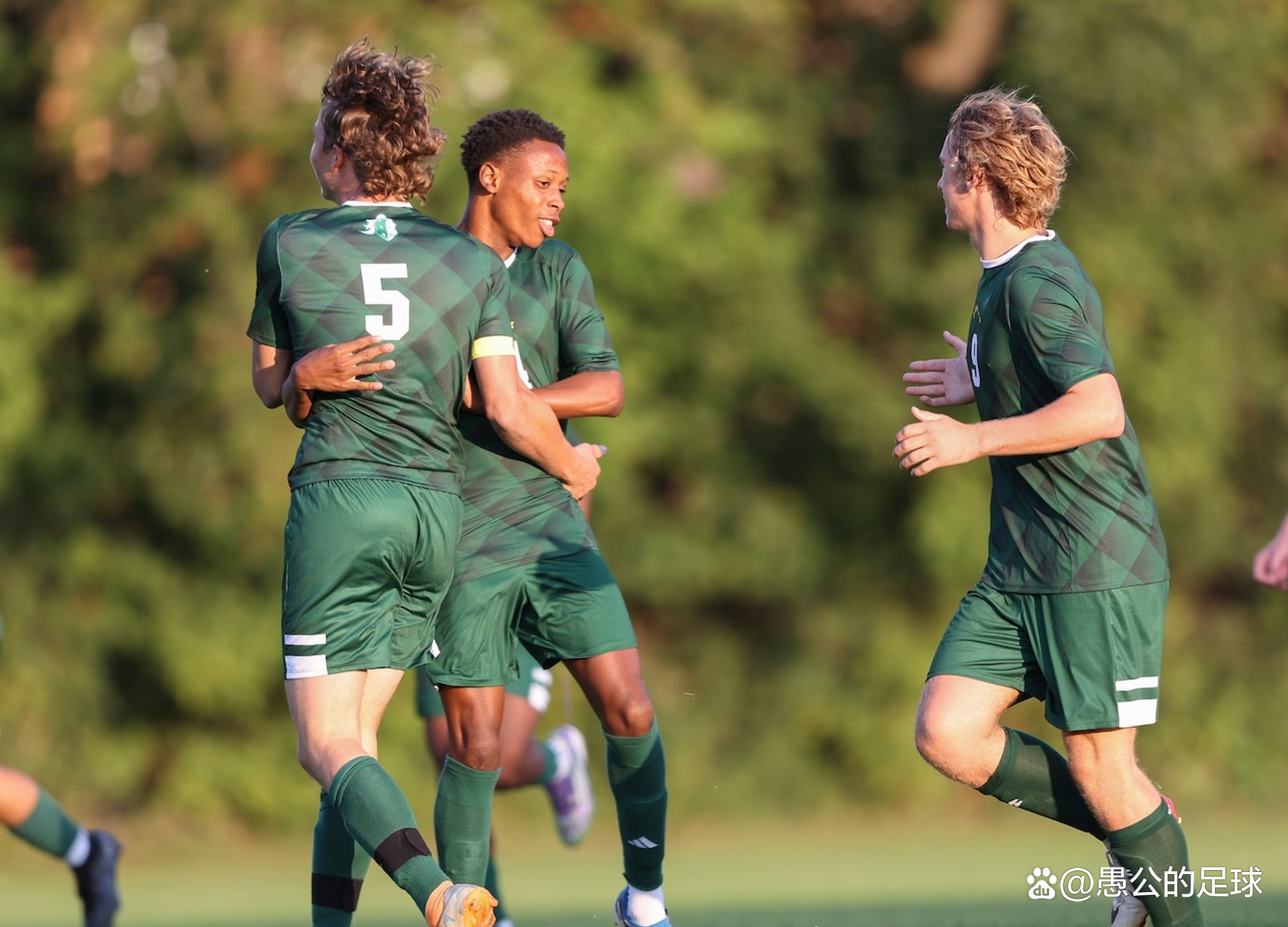 哈斯车队绝杀威廉姆斯，汉密尔顿统治全场的简单介绍