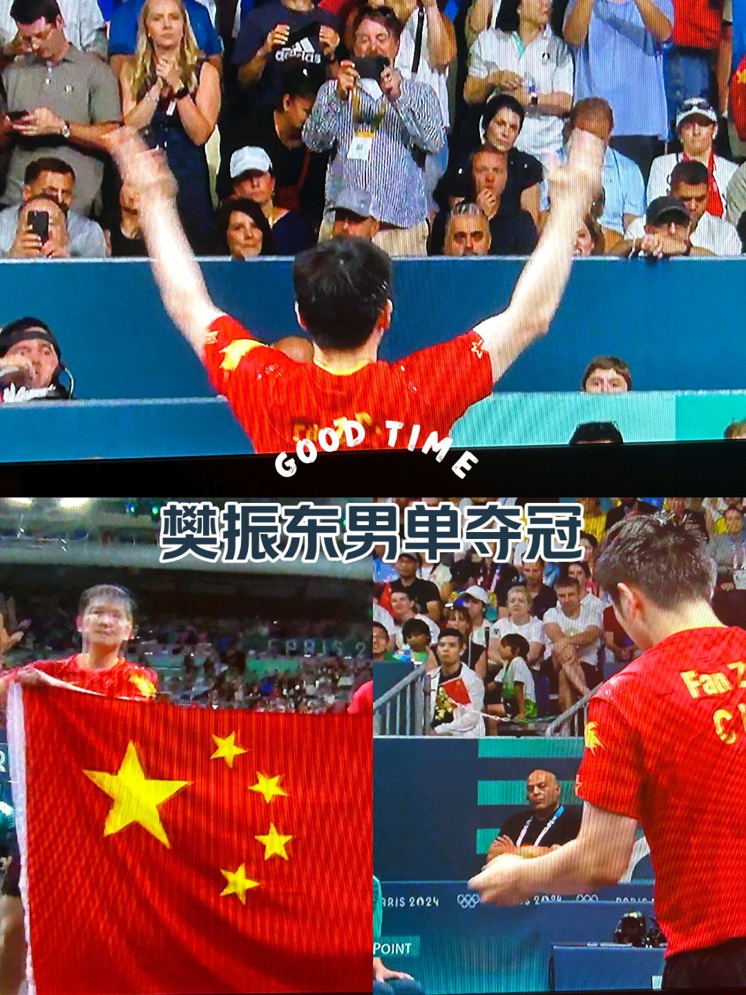 比利时乒乓球队轻取法国乒乓球队，樊振东统治全场的简单介绍