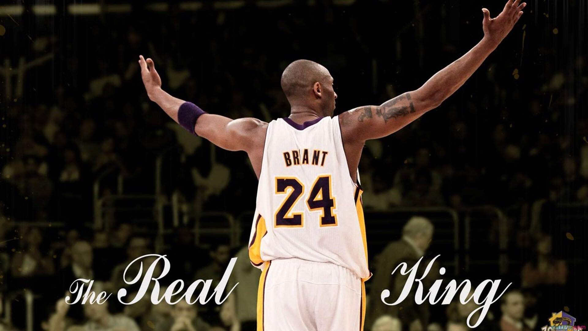 F1街道赛焦点战，从赛道到绿茵，秘鲁强势晋级新西兰的启示