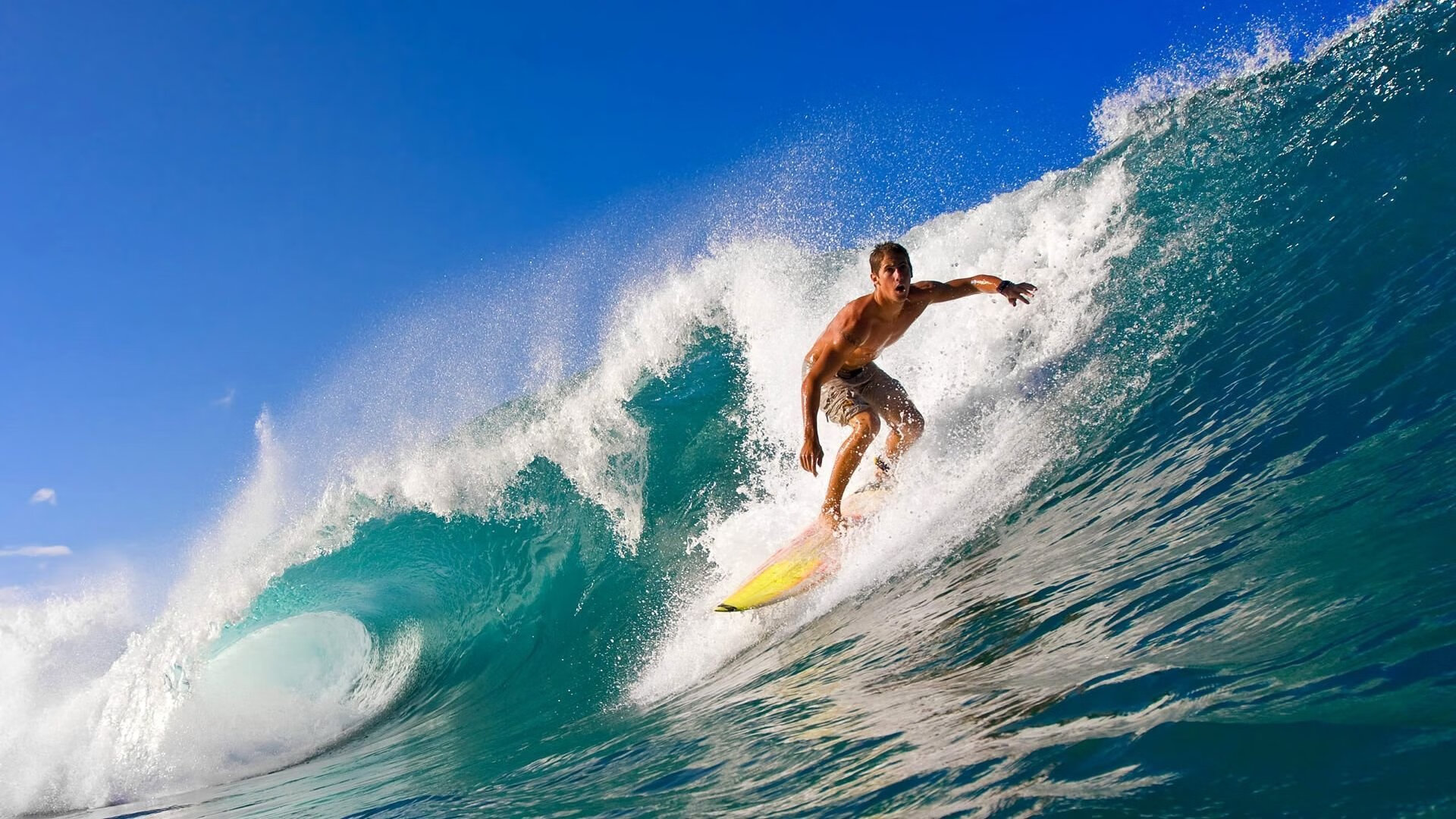 绿茵场与乒乓台的双重奏，法国队轻取瑞典队，梁靖崑统治全场